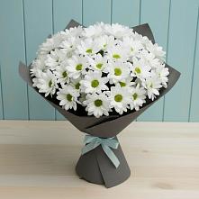 Букет цветов из:  Хризантемы #REPLACE_PRED# Среднем Ставропольского края