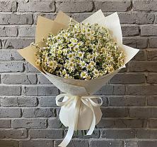 Букет цветов из:  Ромашки в Среднем Ставропольского края