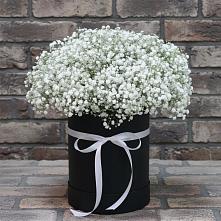 Цветочная композиция из Гипсофила в шляпной коробке в Среднем Ставропольского края