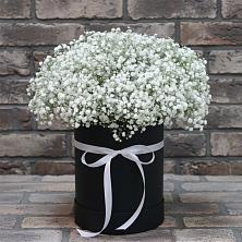 Цветочная композиция из Гипсофила в шляпной коробке в Среднем Ставропольского края