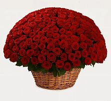 Премиум букет из: Розы #REPLACE_PRED# Среднем Ставропольского края